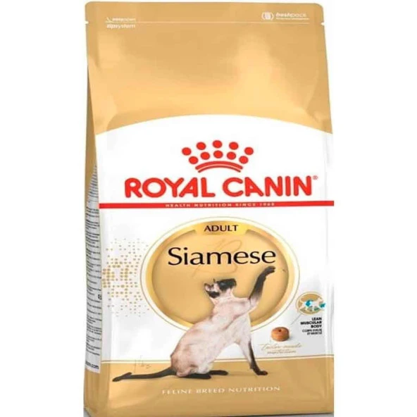 Royal Canin Siamese Yetişkin Kedi Maması 2 Kg ürün görseli 1