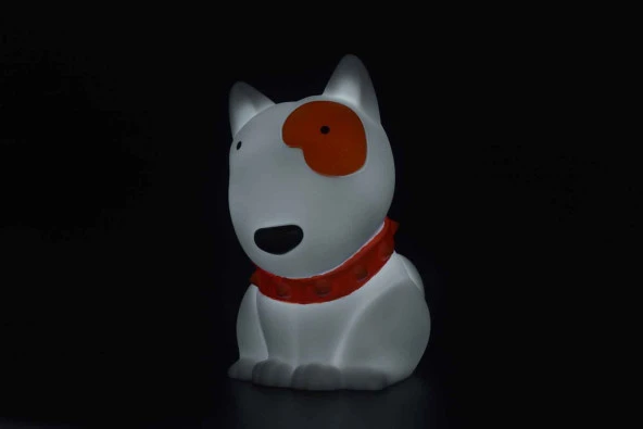 Dhink Zodiac Dog Gece Lambası - Resim 6