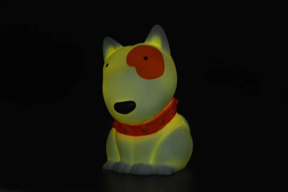 Dhink Zodiac Dog Gece Lambası - Resim 8