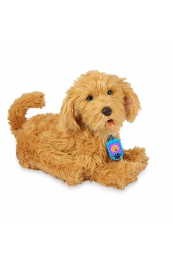 Giochi Preziosi Moji Sevimli Labrador 18207,Komutları Dinleyen Oyuncak Köpek ürün görseli 1