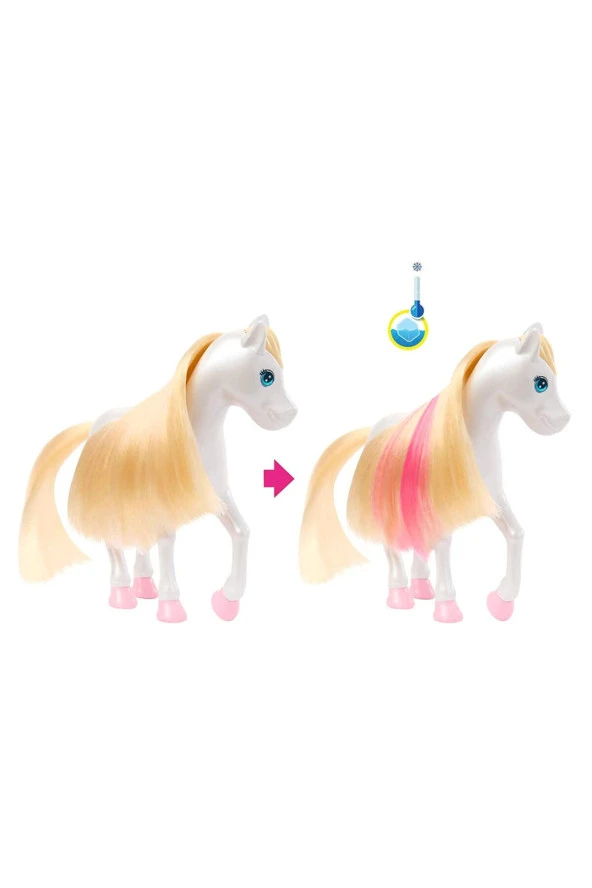 Barbie A Touch Of Magic Chelsea ve Pegasus Oyun Seti HNT67 ürün görseli 1