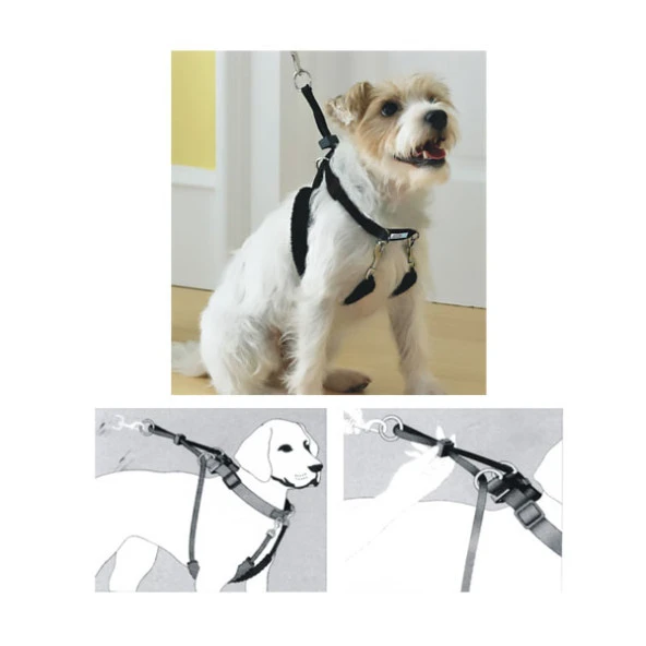 Pawise Dog Training XS (34"x9-12") Eğitim Tasması ürün görseli 1