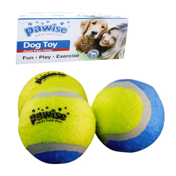 Pawise Tenis Topu 24 Adet Karton Kutulu ürün görseli 1