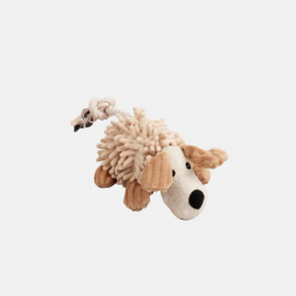 Pawise Dog Molar Toy- Dog Köpek Oyuncağı ürün görseli 1
