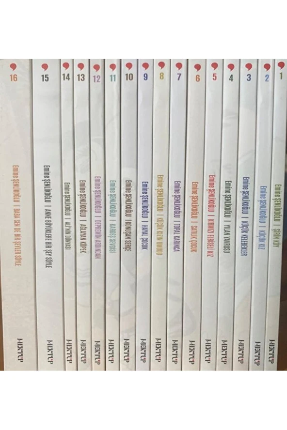 Nesillerin Öyküsü (16 Cilt Takım) / Emine Şenlikoğlu / Mektup Yayınları / 4458000104376 ürün görseli 1