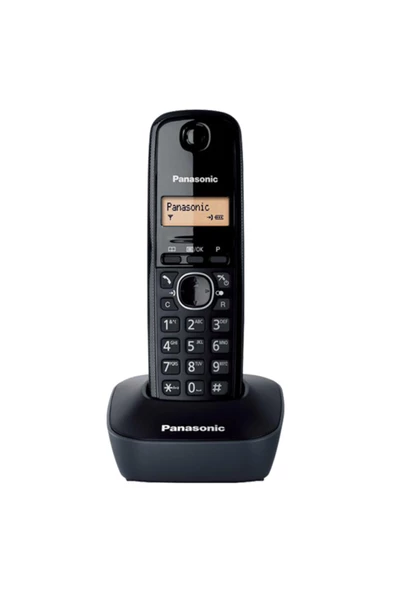 Panasonic KX-TG1611 Dect Telefon ürün görseli 1