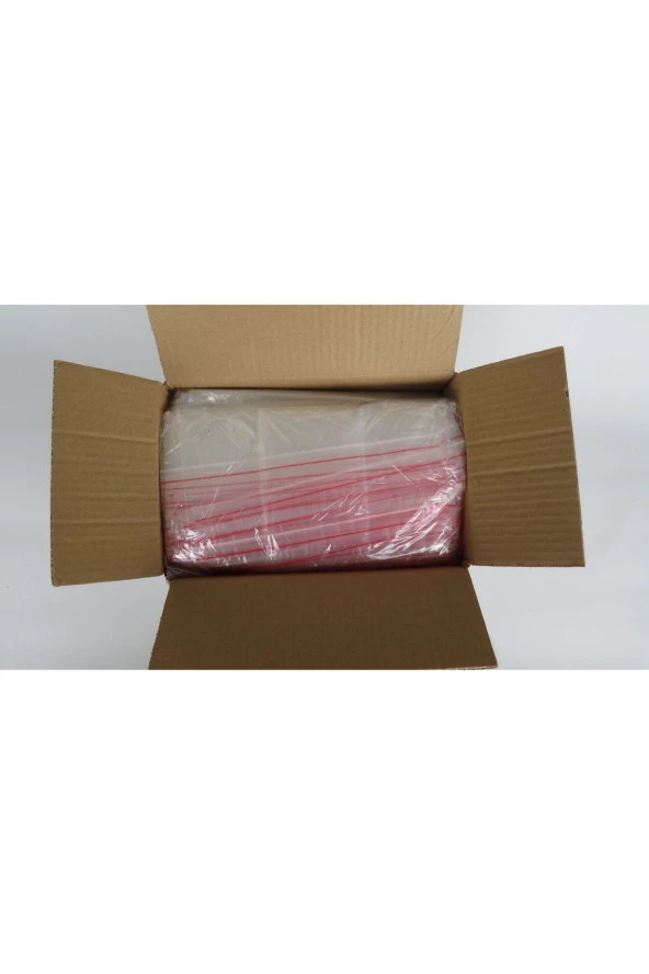 Kilitli Poşet 23cm X 31cm - 250 - Resim 3