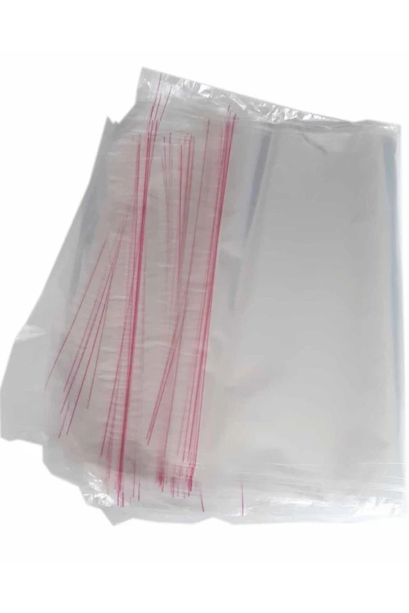 Kilitli Poşet / Naylon Torba 100mmx120mm 1000 Adet 1 Kutu ürün görseli 1