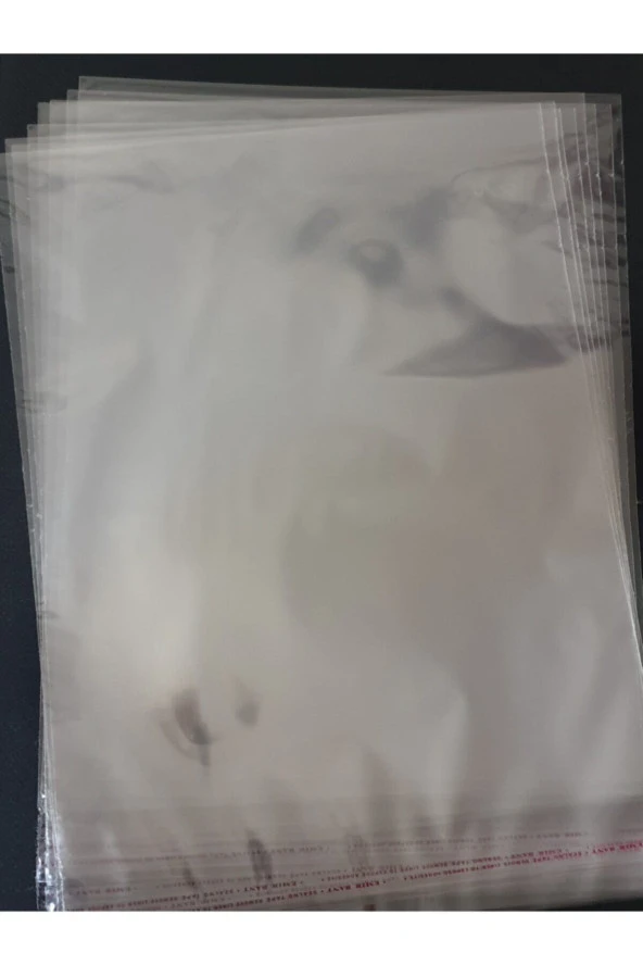Şeffaf Yapışkanlı Poşet - Opp Kendinden Yapışkanlı Jelatin Parlak Poşet 32x45cm - 100 Adet ürün görseli 1