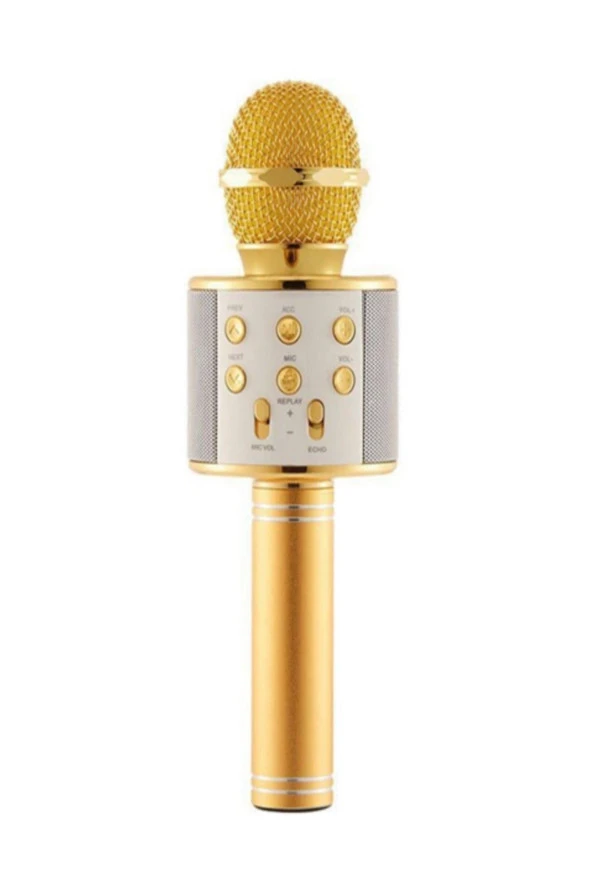 Şarj Edilebilir Telefon Ve Usb Bağlantılı Karaoke Mikrofon (Gold) ürün görseli 1