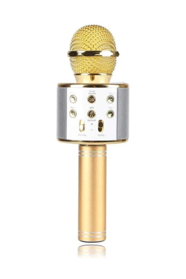 Karaoke Mikrofon Dahili Hoparlörlü USB Flash Destekli WS-858 Gold ürün görseli 1