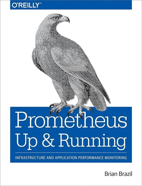 Prometheus: Up & Running: Infrastructure and Application Performance Monitoring Brian Brazil ürün görseli 1