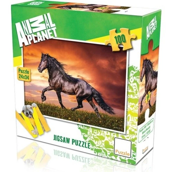 Hayal Sepeti Puzzle  AT modeli  100 Parça 24X34Cm ürün görseli 1