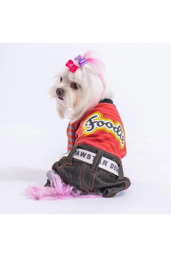 Pawstar Kedi ve KÜÇÜK Köpek Terracotta Foodie Rompers XL Sırt38cm Göğüs55cm Boyun34cm ürün görseli 1