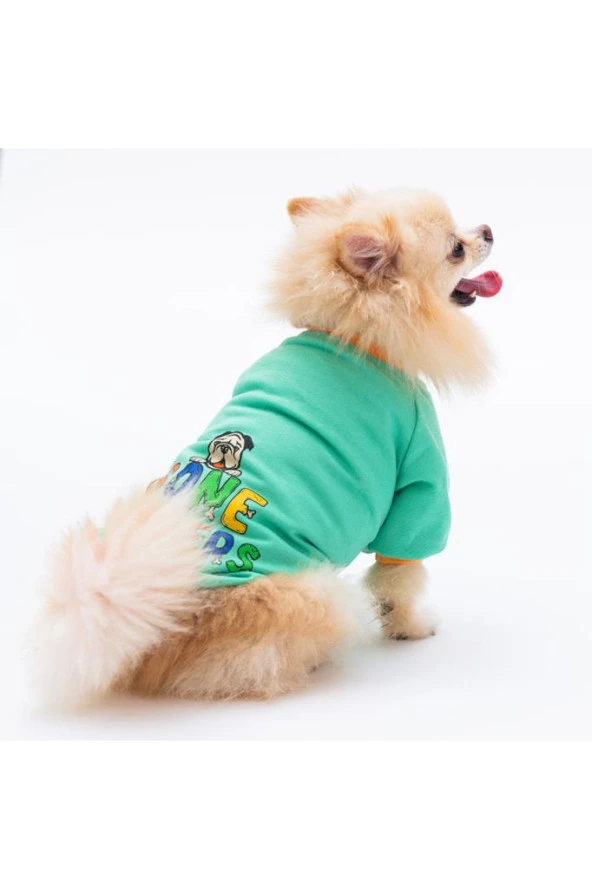 Pawstar Kedi ve KÜÇÜK Köpek Mint Bone Hunter Sweat L Sırt33cm Göğüs46cm Boyun30cm ürün görseli 1