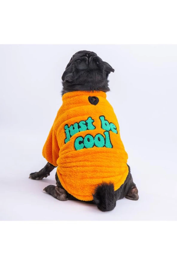 Pawstar Kedi ve KÜÇÜK Köpek Yellow Just Sweat L Sırt33cm Göğüs46cm Boyun30cm ürün görseli 1