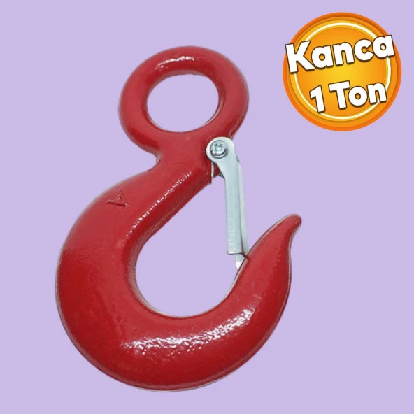 Kuşgöz Oval 1 Tonluk Kanca Yük Taşıma Kaldırma Ekipman Aparat Şantiye Vinç Paslanmaz Çelik Kanca ürün görseli 1