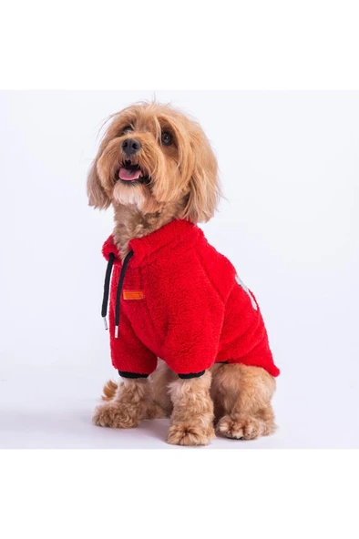 Pawstar Kedi ve KÜÇÜK Köpek Red Just Sweat L Sırt33cm Göğüs46cm Boyun30cm ürün görseli 1