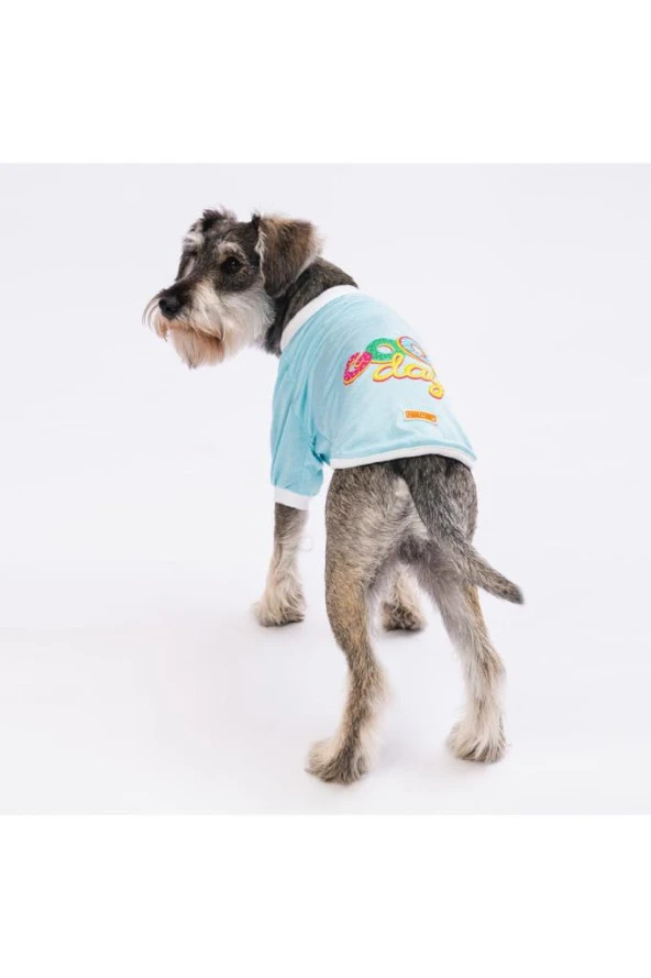 Pawstar Kedi ve KÜÇÜK Köpek Blue Good Day Sweat XL Sırt38cm Göğüs55cm Boyun34cm ürün görseli 1