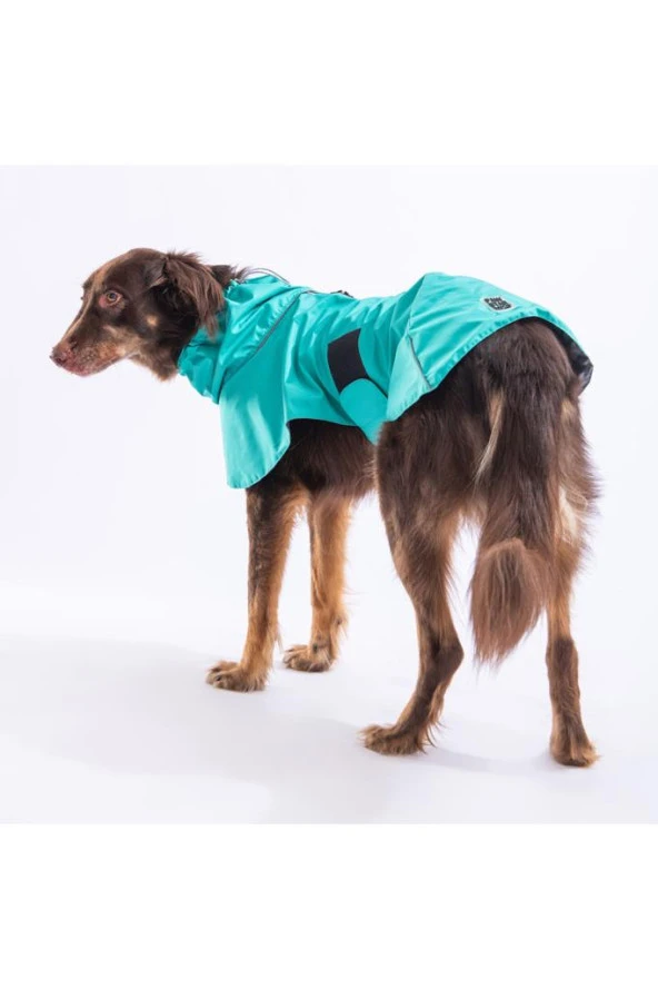 Pawstar Kedi ve KÜÇÜK Köpek Mint Colombia Raincoat S Sırt24cm Göğüs37cm Boyun23cm ürün görseli 1