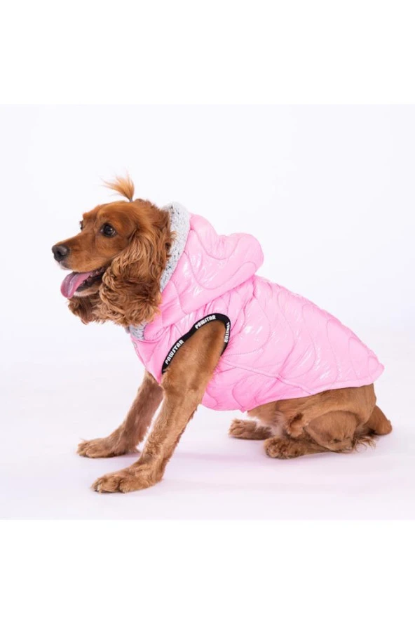 Pawstar Köpek Pink Light Wave Vest XLarge Sırt38cm Göğüs55cm Boyun34cm ürün görseli 1