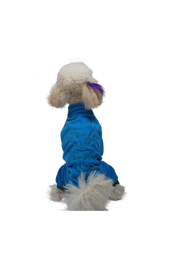 Pawstar Kedi ve KÜÇÜK Köpek Mavi Smile Tulum XL Sırt38cm Göğüs55cm Boyun34cm ürün görseli 1