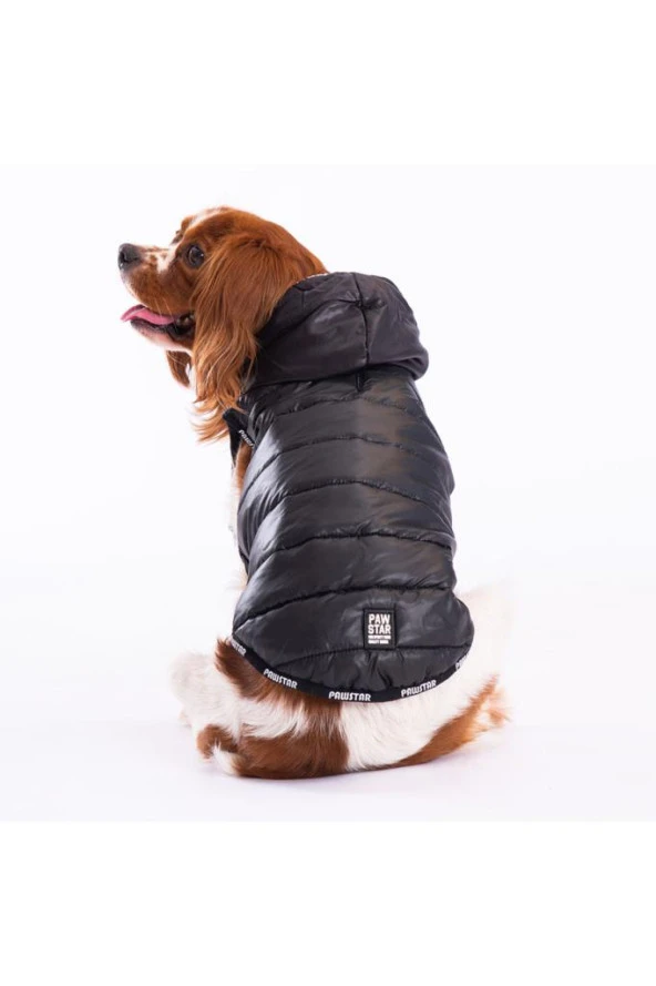 Pawstar Köpek Siyah Railway Yelek XLarge Sırt38cm Göğüs55cm Boyun34cm ürün görseli 1