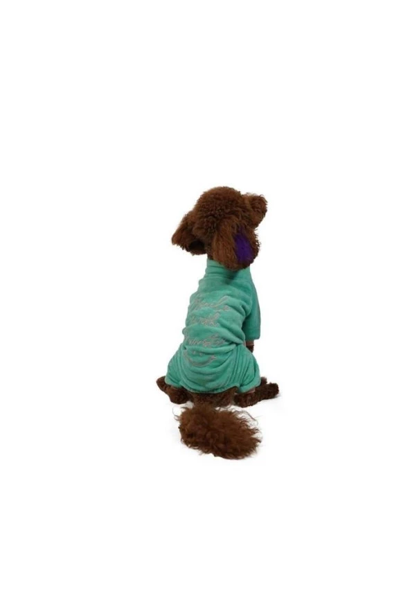 Pawstar Kedi ve KÜÇÜK Köpek Mint Smile Tulum L Sırt33cm Göğüs46cm Boyun30cm ürün görseli 1