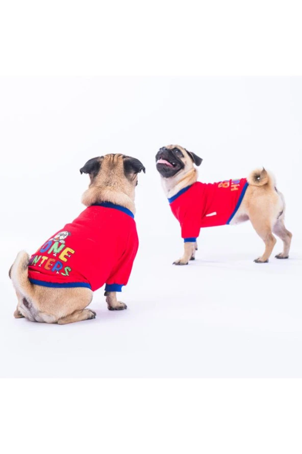 Pawstar Kedi ve KÜÇÜK Köpek Red Bone Hunter Sweat 2XL Sırt43cm Göğüs58cm Boyun38cm ürün görseli 1