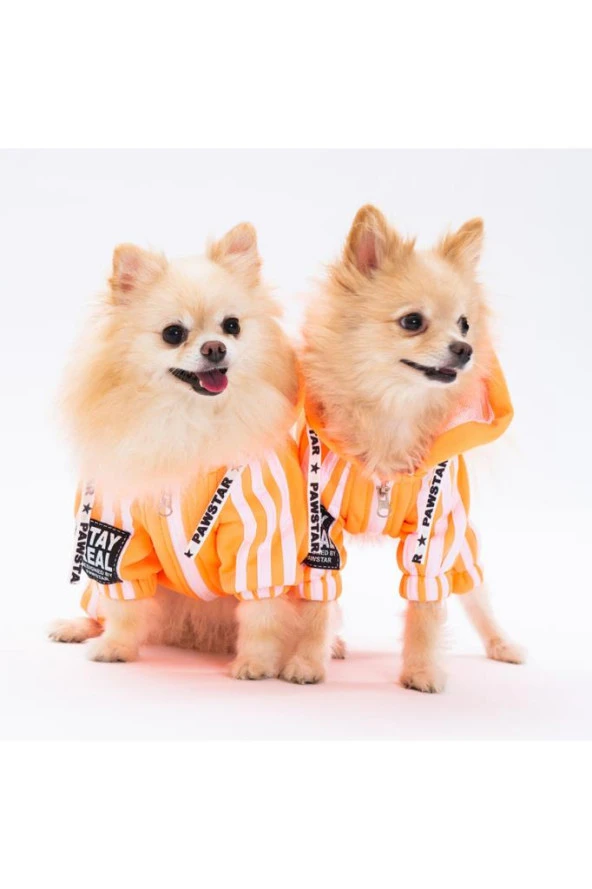 Pawstar Köpek Orange Tuta Rompers Large Sırt33cm Göğüs46cm Boyun30cm ürün görseli 1
