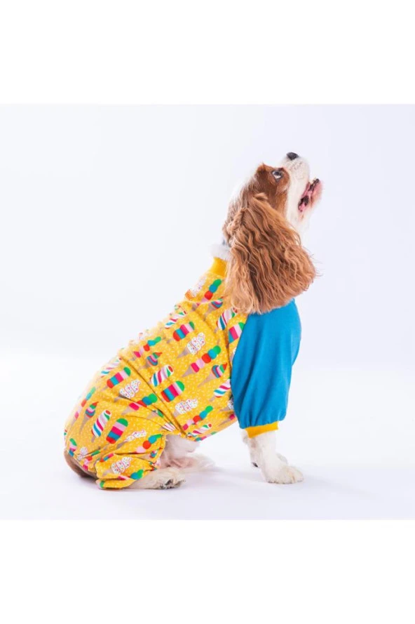 Pawstar Köpek Ice Creams Pyjamas Large Sırt33cm Göğüs46cm Boyun30cm ürün görseli 1