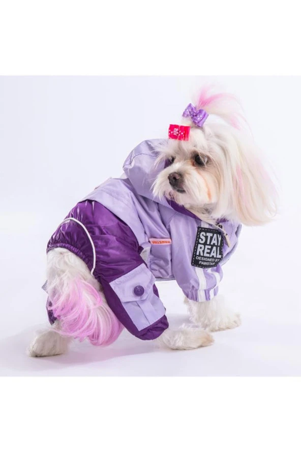 Pawstar Köpek Lilac-Purple Bicolor Rompers Medium Sırt28cm Göğüs41cm Boyun26cm ürün görseli 1