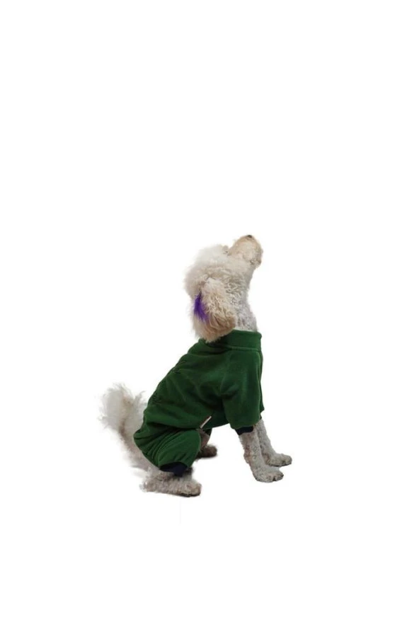 Pawstar Kedi ve KÜÇÜK Köpek Koyu Yeşil Smile Tulum M Sırt28cm Göğüs41cm Boyun26cm ürün görseli 1