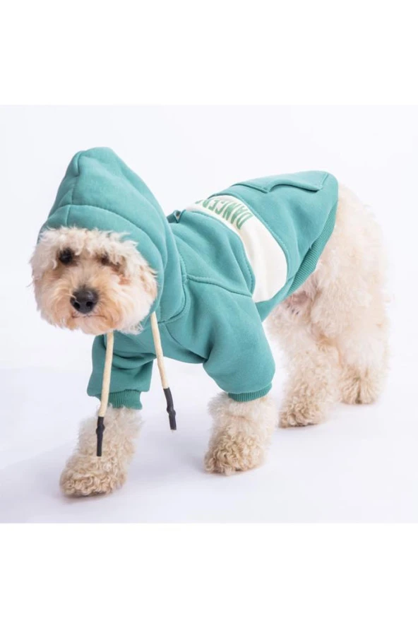 Pawstar Kedi ve KÜÇÜK Köpek Green Cute Hoodie L Sırt33cm Göğüs46cm Boyun30cm ürün görseli 1