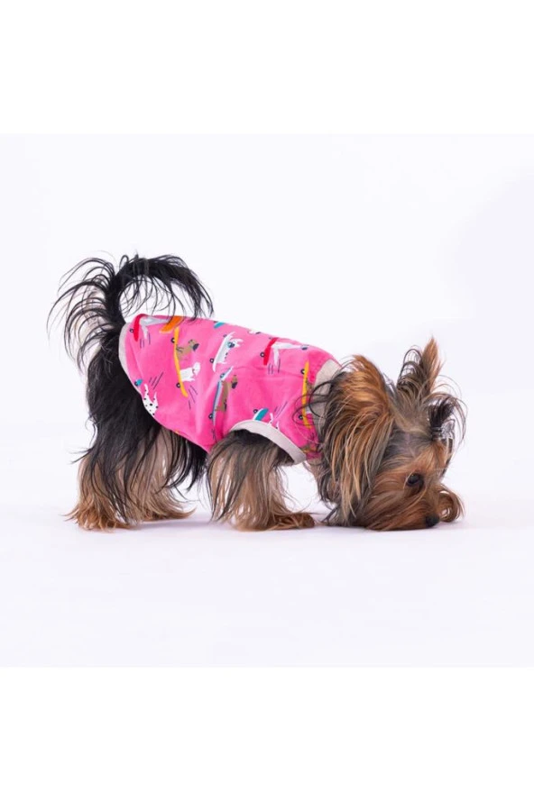 Pawstar Köpek T-Shirt Skate Dogs Medium Sırt28cm Göğüs41cm Boyun26cm ürün görseli 1