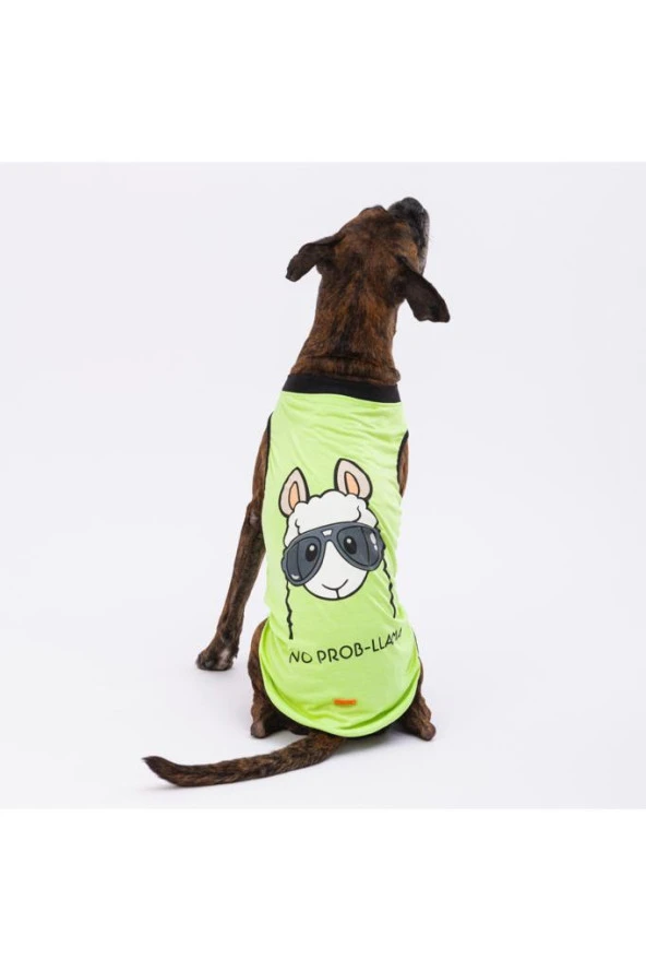 Pawstar Köpek T-Shirt Yeşil No Prob-Lama Büyük 7XLarge Sırt76cm Göğüs92cm Boyun59cm ürün görseli 1