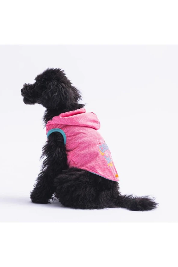 Pawstar Kedi ve KÜÇÜK Köpek T-Shirt Pink Style Hooded Kapşonlu L Sırt33cm Göğüs46cm Boyun30cm ürün görseli 1