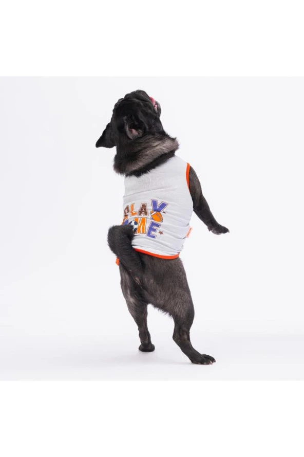 Pawstar Kedi ve KÜÇÜK Köpek T-Shirt Grey Sporty XL Sırt38cm Göğüs55cm Boyun34cm ürün görseli 1
