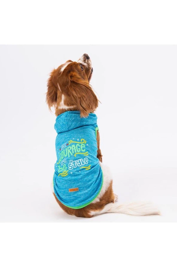 Pawstar Kedi ve KÜÇÜK Köpek T-Shirt Blue Style Hooded Kapşonlu XL Sırt38cm Göğüs55cm Boyun34cm ürün görseli 1