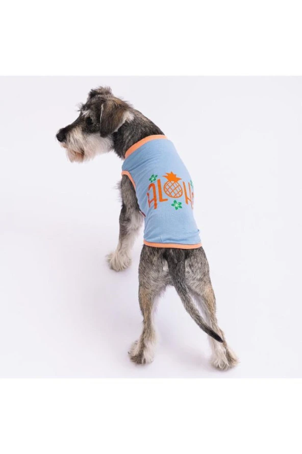 Pawstar Kedi ve KÜÇÜK Köpek T-Shirt Blue Aloha S Sırt24cm Göğüs37cm Boyun23cm ürün görseli 1