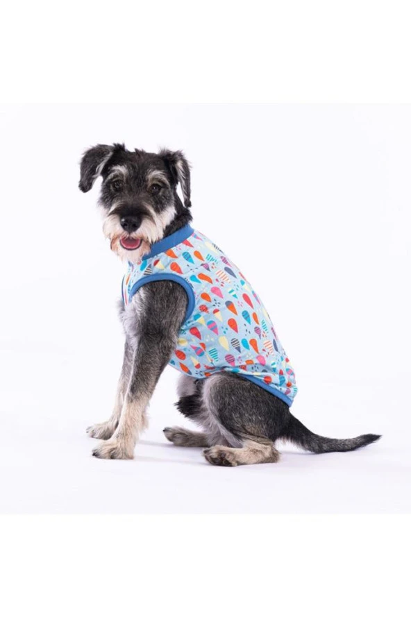 Pawstar Kedi ve KÜÇÜK Köpek T-Shirt Blop M Sırt28cm Göğüs41cm Boyun26cm ürün görseli 1