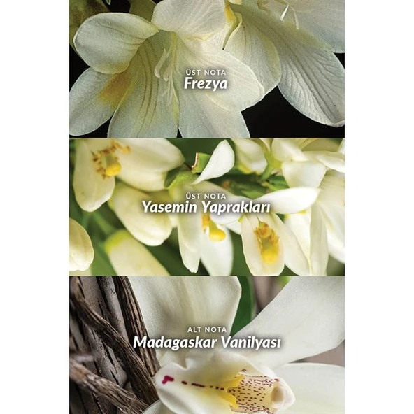 Avon Far Away Kadın Parfüm EDP 50 ml - Resim 3