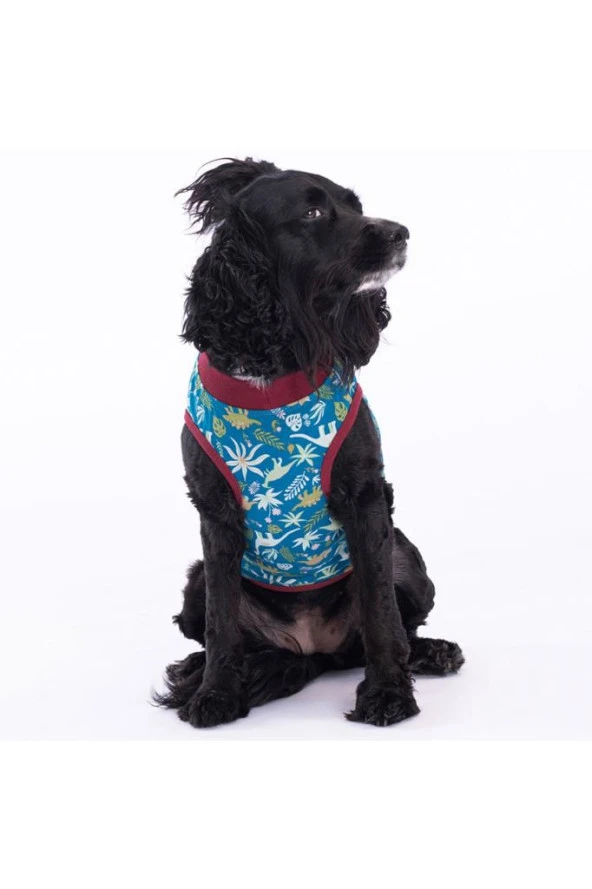 Pawstar Kedi ve KÜÇÜK Köpek T-Shirt Dino L Sırt33cm Göğüs46cm Boyun30cm ürün görseli 1