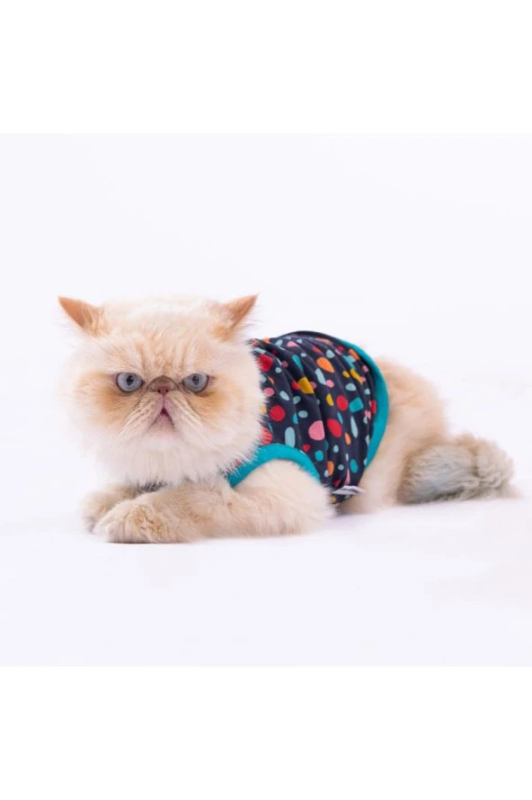 Pawstar Kedi ve KÜÇÜK Köpek T-Shirt Spots XL Sırt38cm Göğüs55cm Boyun34cm ürün görseli 1