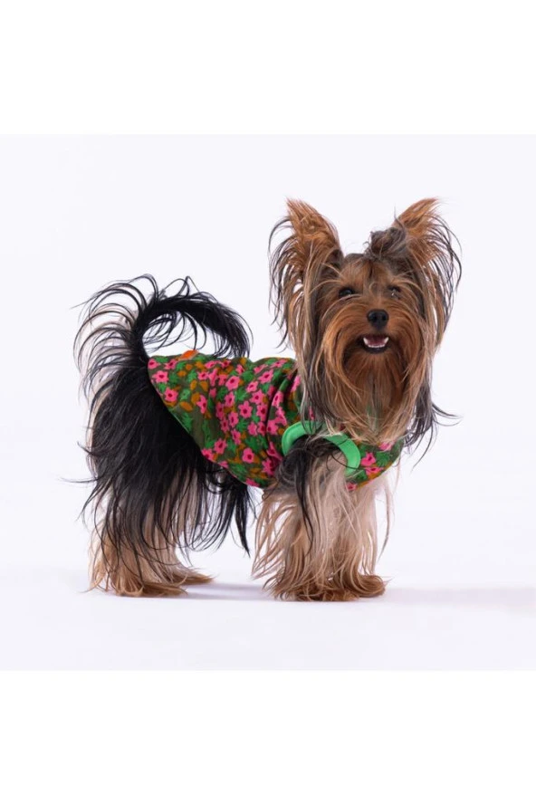 Pawstar Kedi ve KÜÇÜK Köpek T-Shirt Flower 2XL Sırt43cm Göğüs58cm Boyun38cm ürün görseli 1