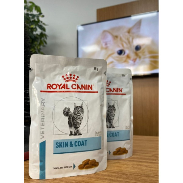 ROYAL CANİN SKİN & COAT TAZE VE ORİJİNAL MAMA ürün görseli 1