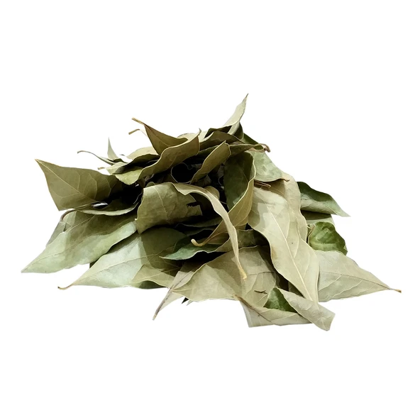 Defne Yaprağı 80 Gr Paket ürün görseli 1