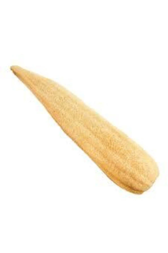 Kese Hamam Kesesi Kabak Lifi 60 - 70 Cm Ham Kabak Lifi Işlenmemiş Lif Kabak ürün görseli 1