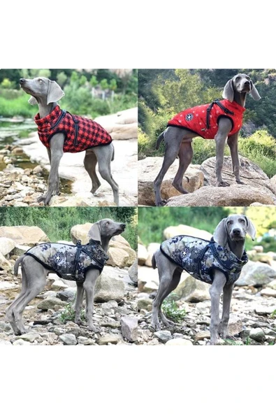 V.Pet.B.R Su Geçirmez Sıcak Köpek Montu Kıyafeti ürün görseli 1
