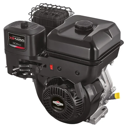 Brıggs Stratton XR1450 10 Hp Benzinli Motor (Konik-Yatay) ürün görseli 1